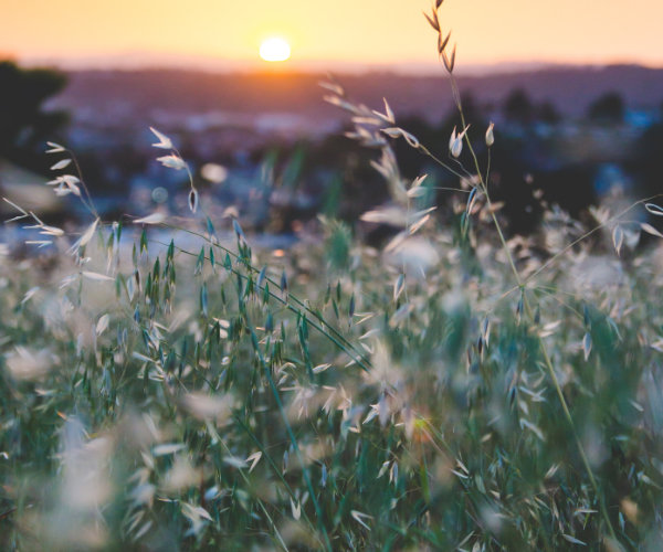 Does Chiropractic Work?