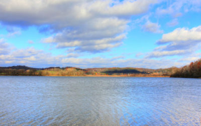 What Does a Chiropractor Do?