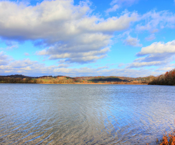 What Does a Chiropractor Do?