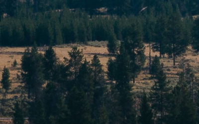 Physical and Emotional Trauma: One in the Same?