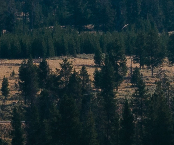 Physical and Emotional Trauma: One in the Same?