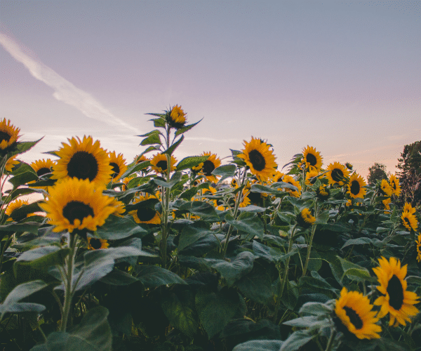The Lake Country Chiropractor Who Actually Cares