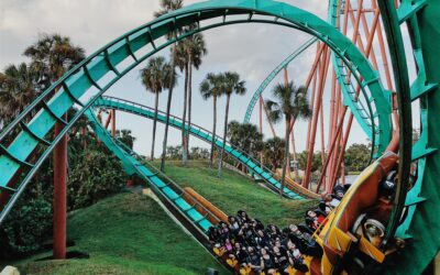 The Chronic Adrenaline Rush